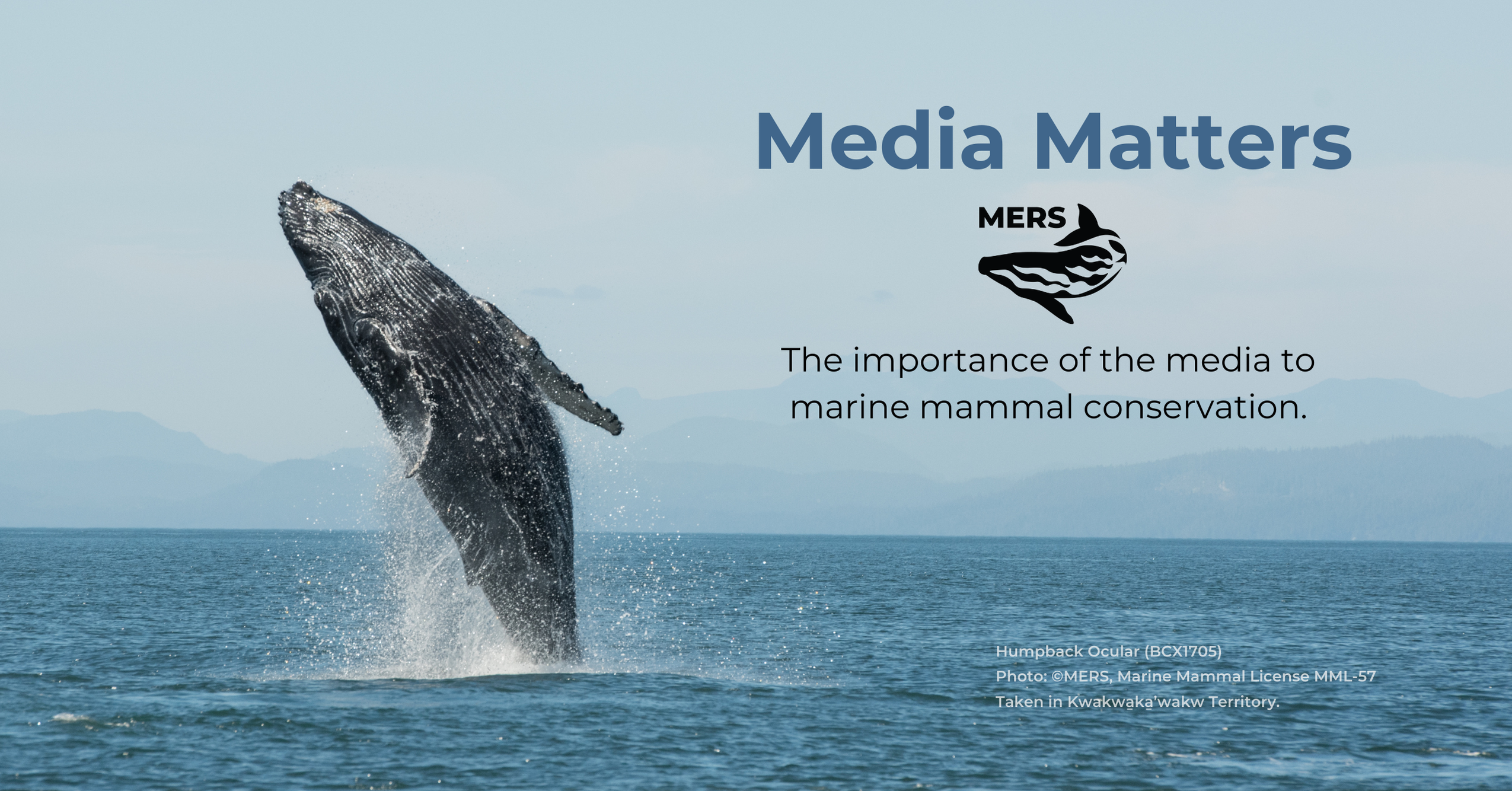 Wordpress feature image