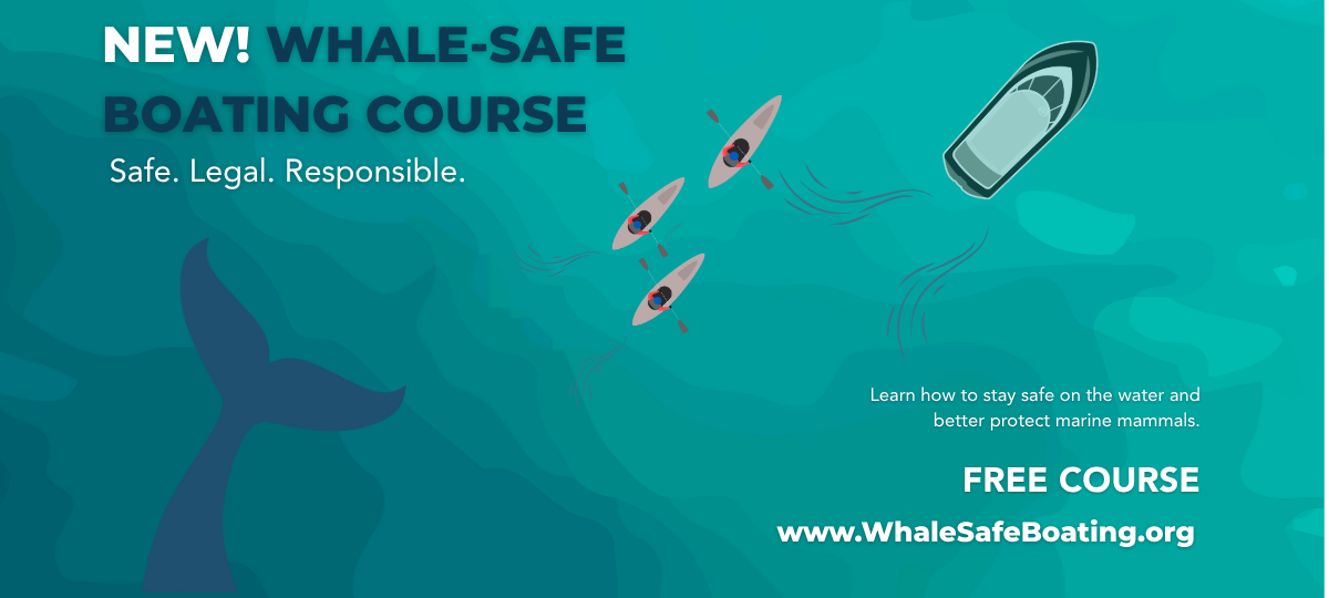 Course Launch eblast image (11 x 4 in) (1)